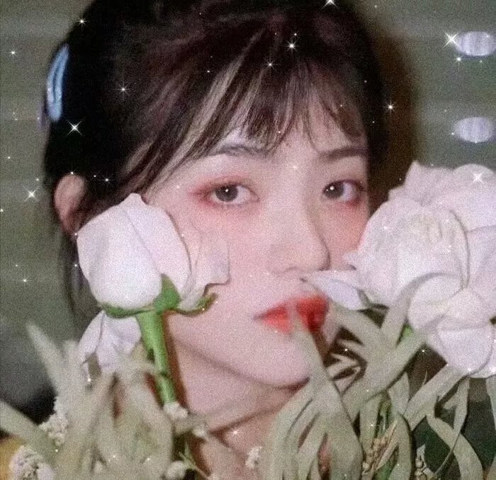 赤道之花